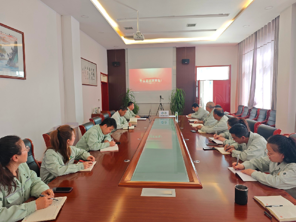 华浩轩党支部开展 “全民国家安全教育日” 主题党日活动